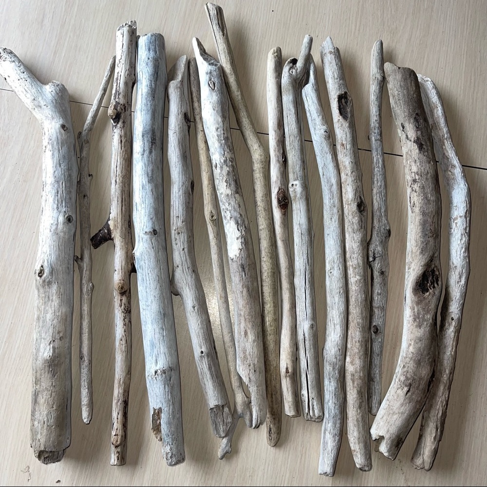 10 Count Box 17” - 21” Oregon Driftwood Sticks